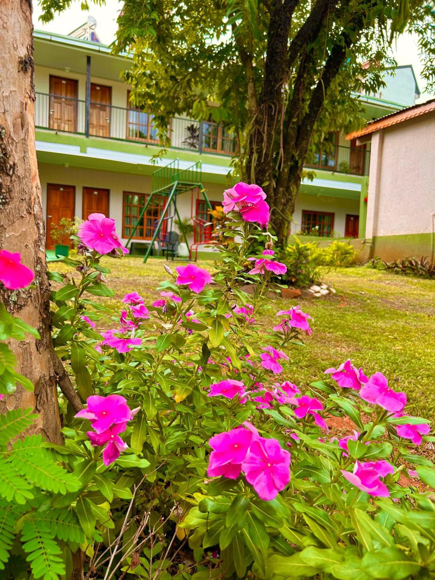 Tupa Hotel Iguazu 푸에르토이과수 외부 사진